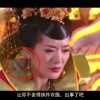 铁树开花打一肖为什么是牛